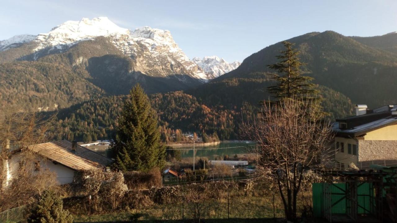Appartamentovallesella Domegge di Cadore Bagian luar foto